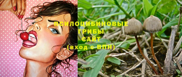 индика Армянск