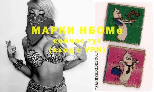 МДПВ Алзамай