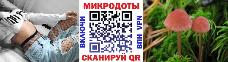 Галлюциногенные грибы Psilocybine cubensis  Шебекино 