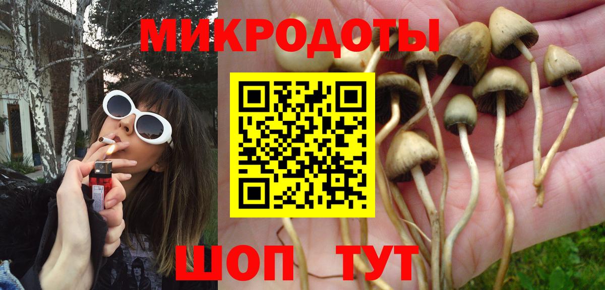 Псилоцибиновые грибы Psilocybine cubensis  Псилоцибиновые грибы прущие грибы  Шебекино  Вход с VPN 