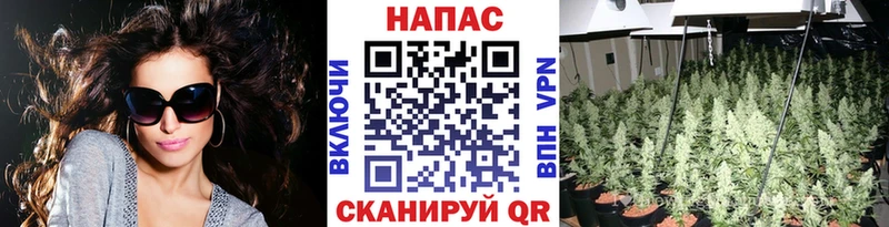 Бошки Шишки AK-47 Шебекино